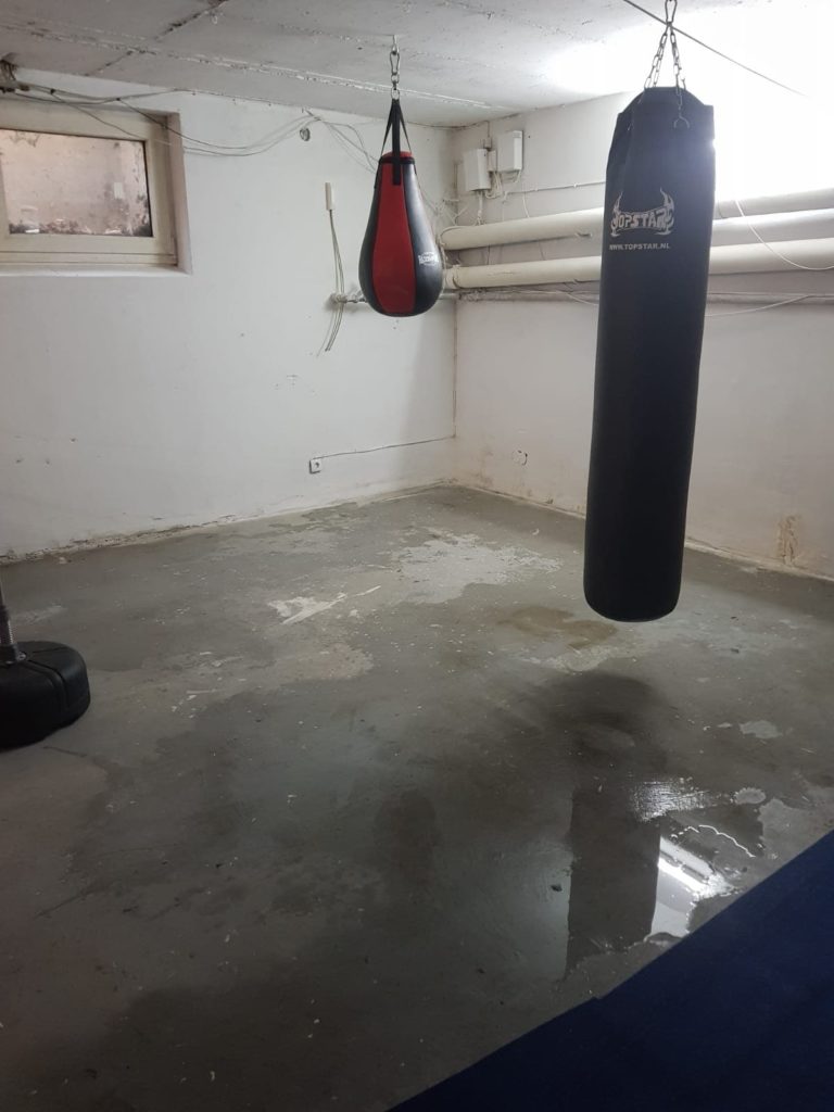 thor protect basement waterproofing reviews