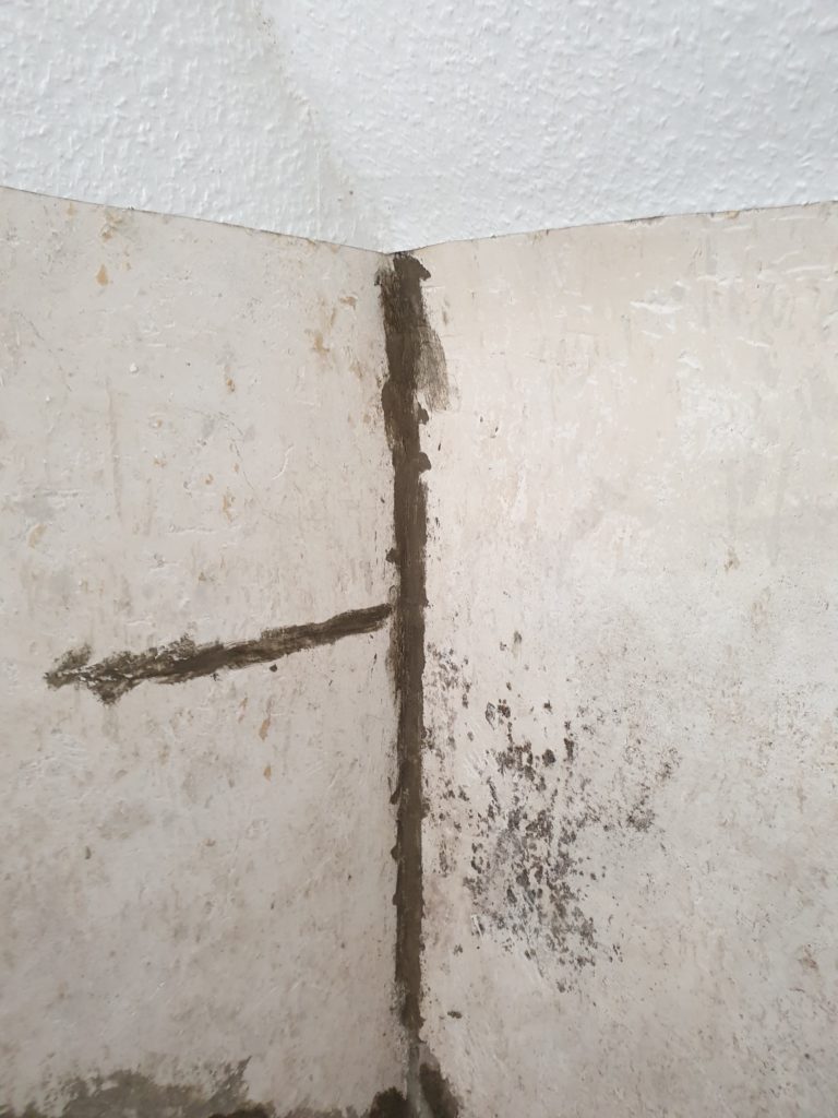 thor protect basement waterproofing experiences