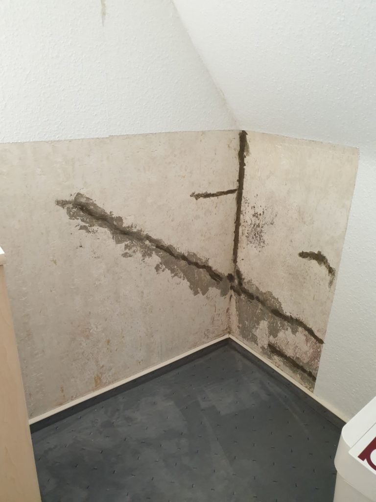 thor protect basement waterproofing experiences 2022