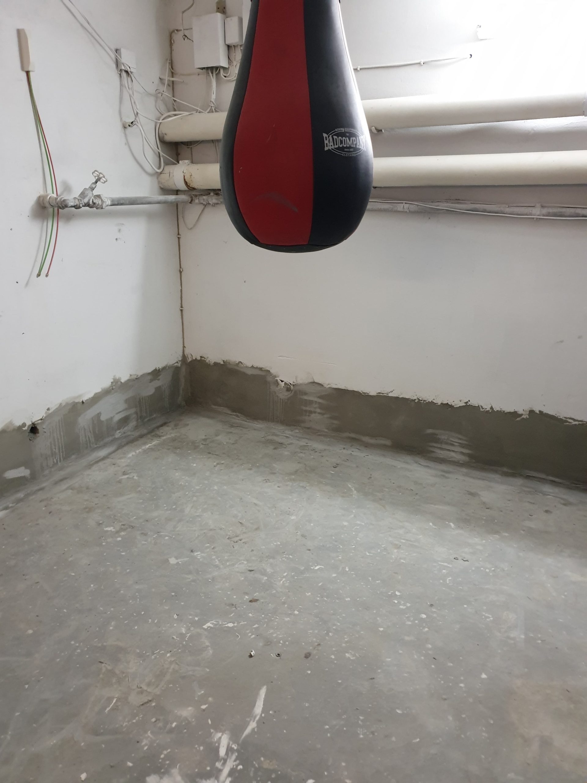 thor protect basement waterproofing experiences reviews