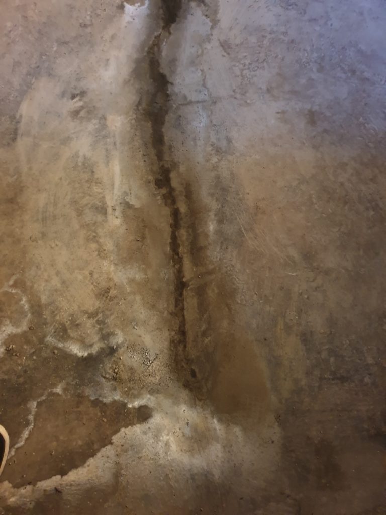 thor-protect-basement-waterproofing-after