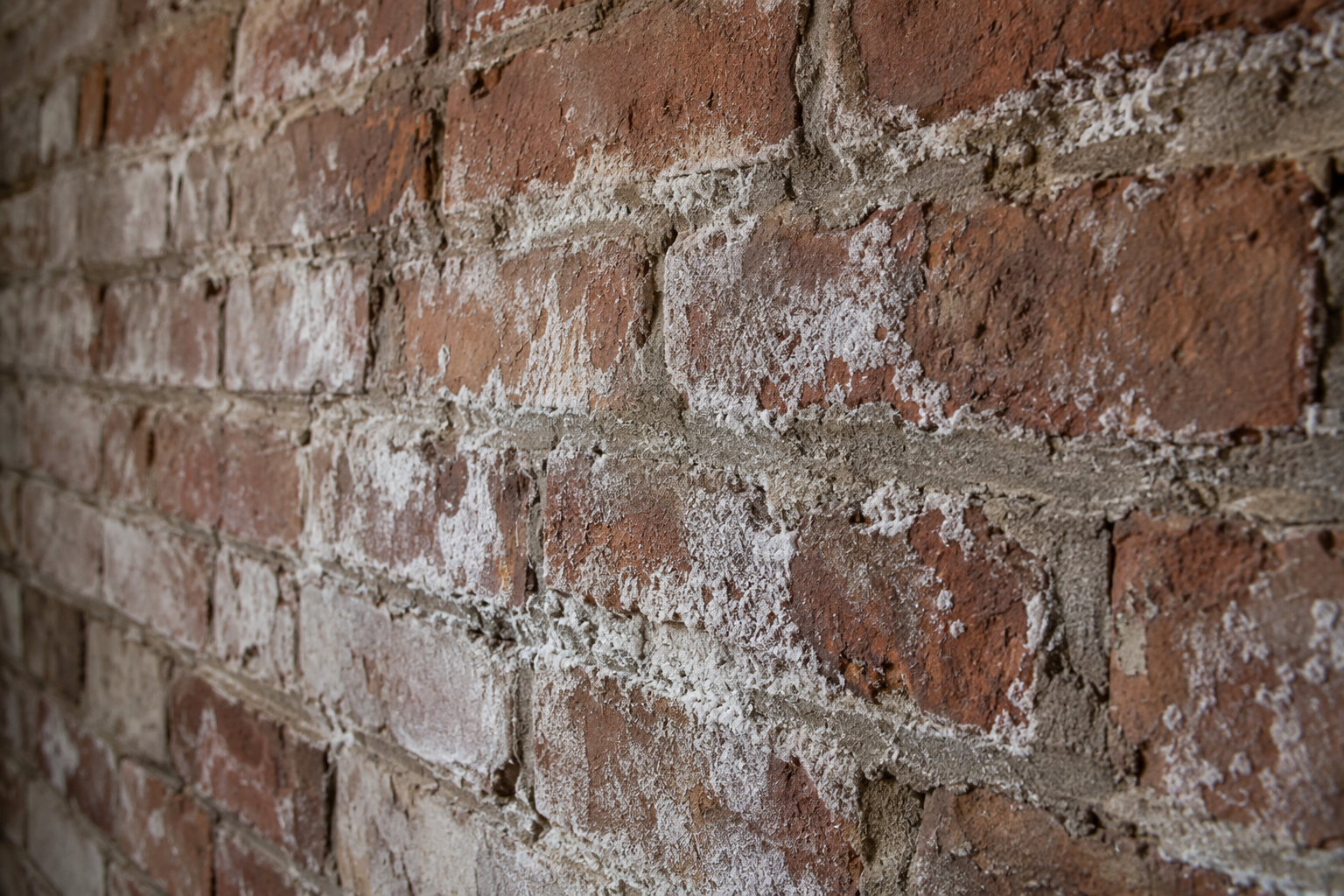 Basement efflorescence